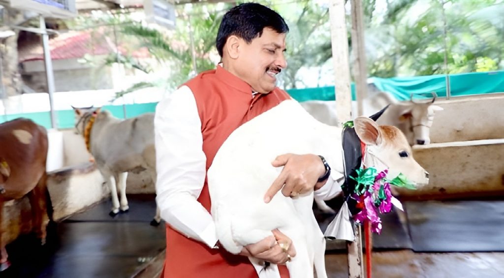 Animal Welfare