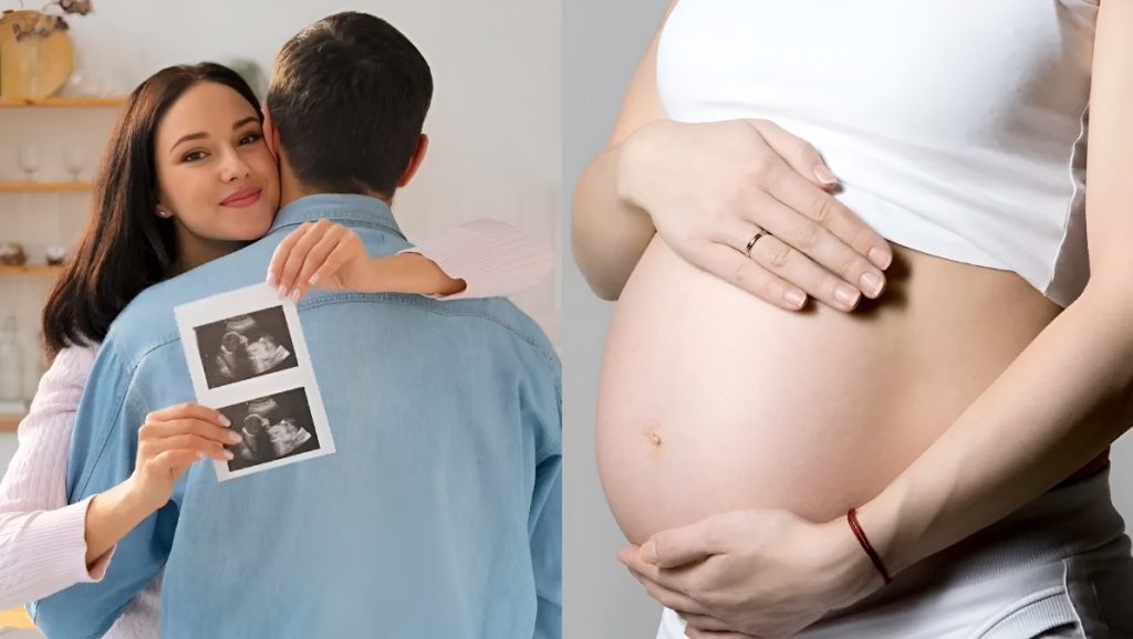 IVF Success Rate India