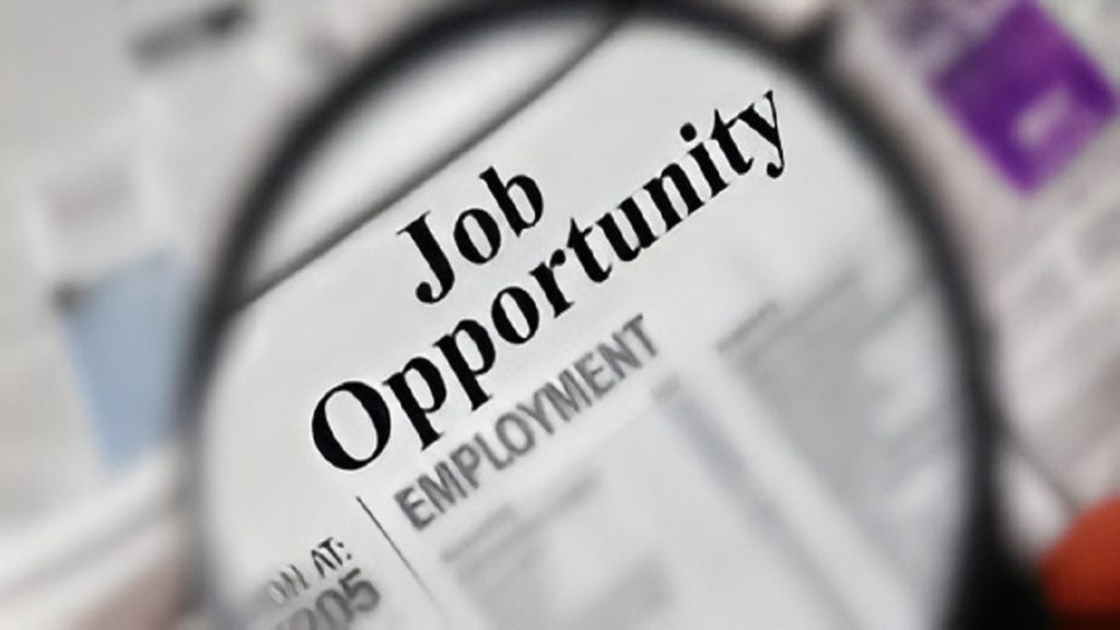 Job Opportunity