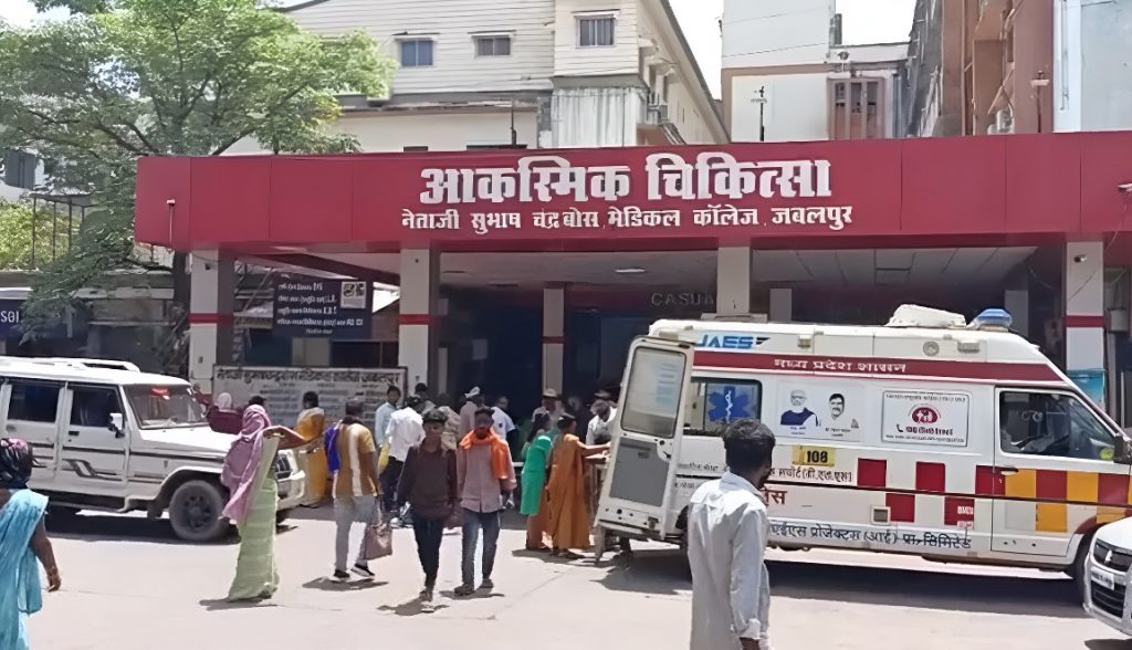 Rats Menace Hospital