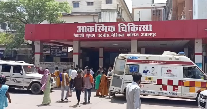Rats Menace Hospital