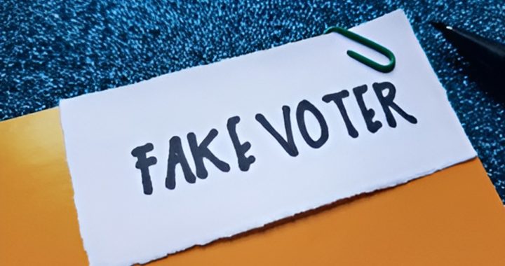 Fake Voter List
