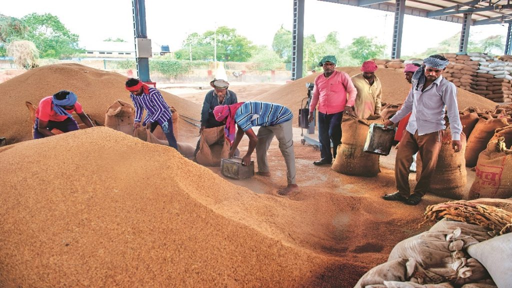 Chhattisgarh Paddy Procurement