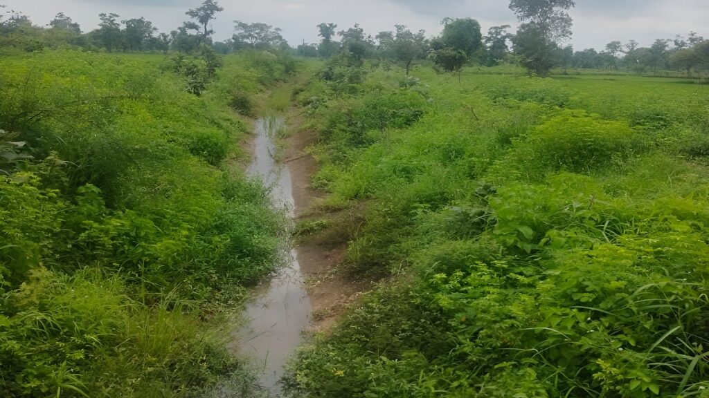 Gariyaband Corruption Case