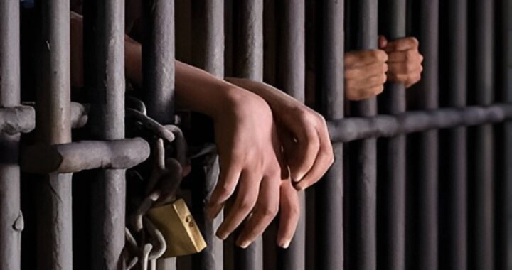 Prison Escape Case