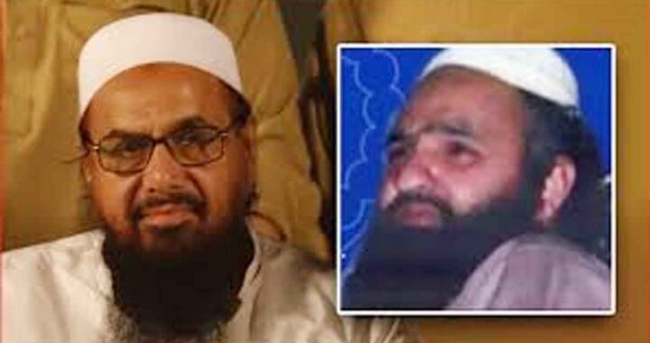Al-Qaeda commander; a terrorist bigger than Hafiz is hiding in Pakistan, on America's target!