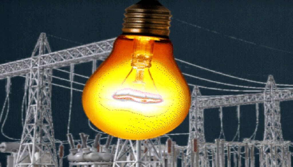 CG Half Electricity Bill Scheme