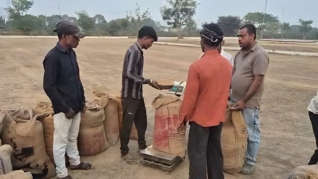 Chhattisgarh Paddy Procurement Action