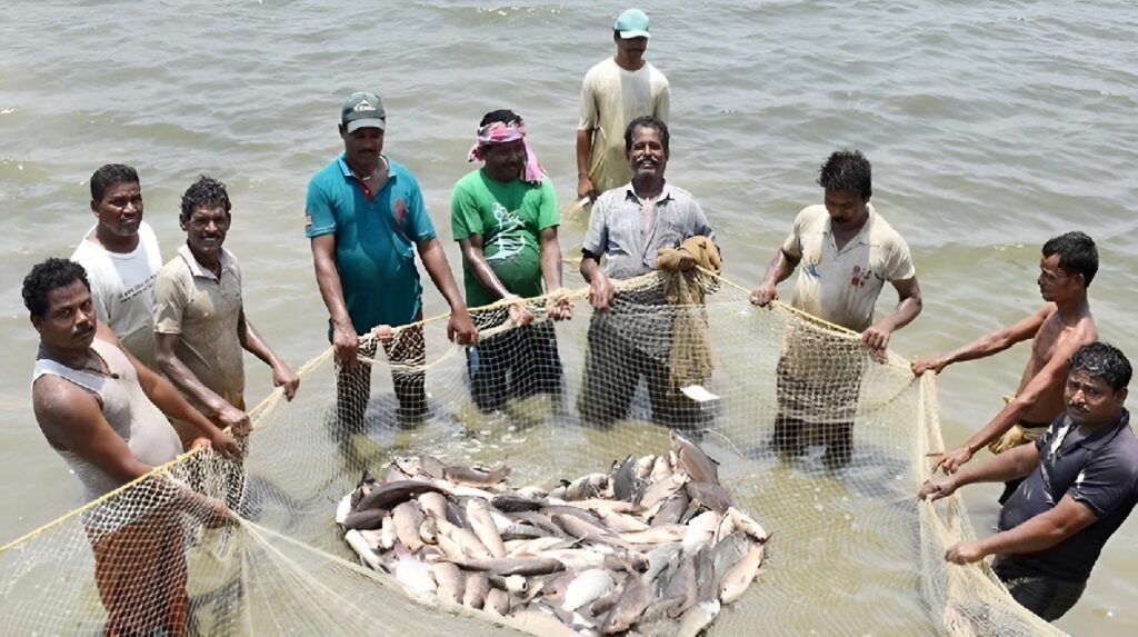 Fish Production Chhattisgarh