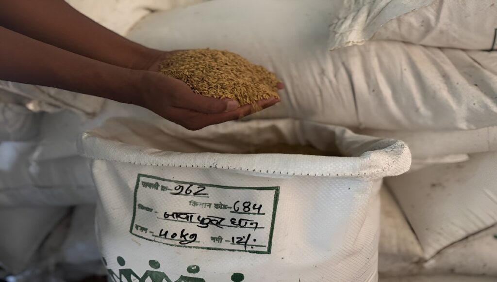 Jawaphool Rice Bastar