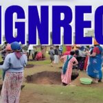 MGNREGA Water Structures : गंभीर जल संकट से घिरे जिलों में मनरेगा की 65% राशि अब जल संचय संरचनाओं पर होगी खर्च