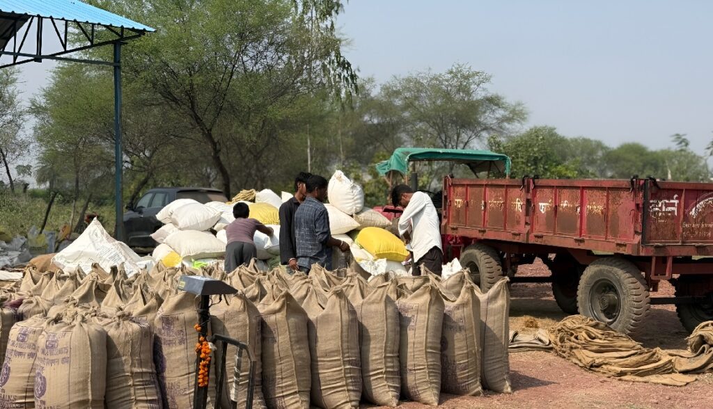 Mungeli Paddy Seizure