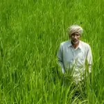 Agristack Registration Extension : एग्रीस्टैक पोर्टल में अब पंजीयन 15 तक, कृषि मंत्री के निर्देश पर पंजीयन की तिथि में वृद्धि