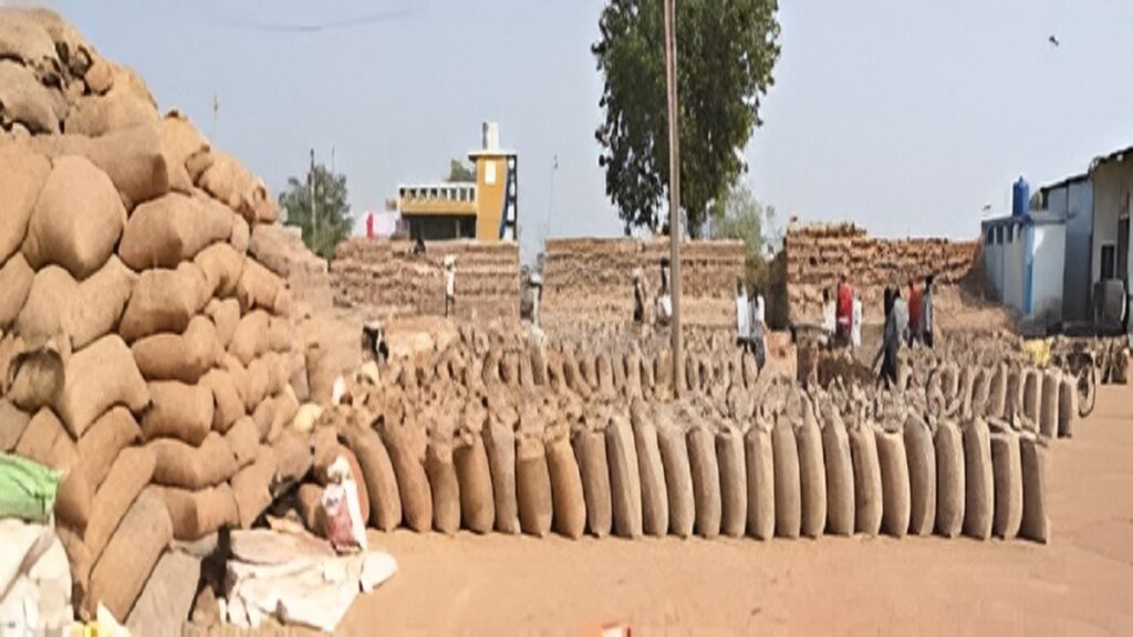 Illegal Paddy Seizure Monitoring Report