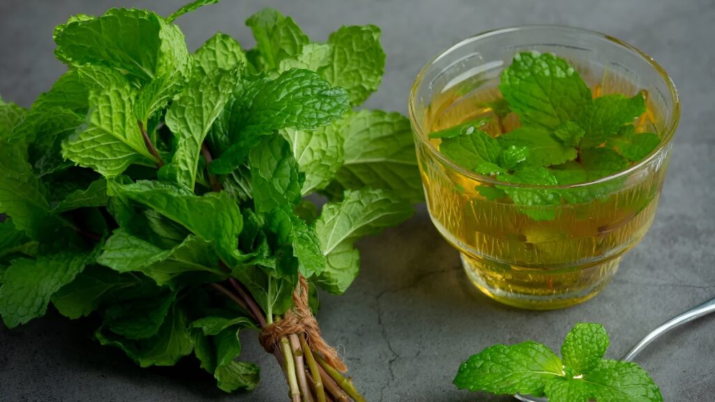 Night Health Routine