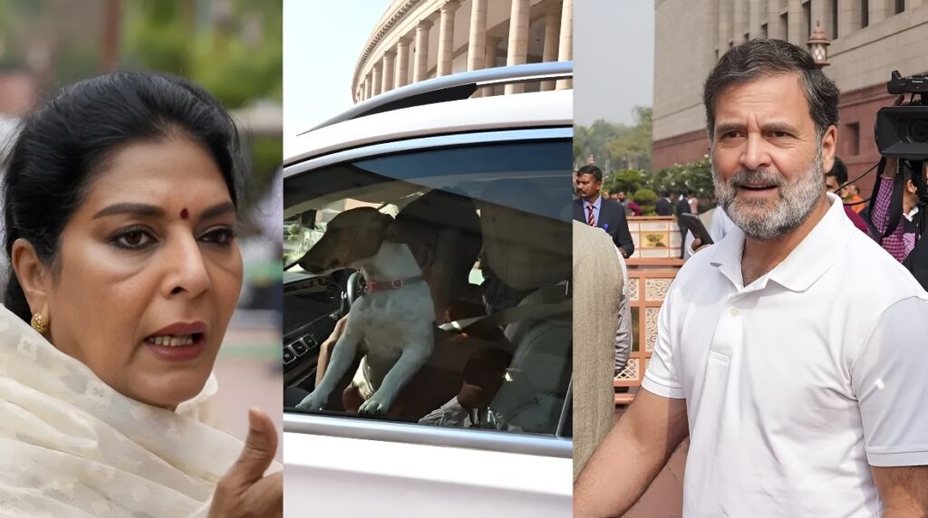 Parliament Dog Controversy