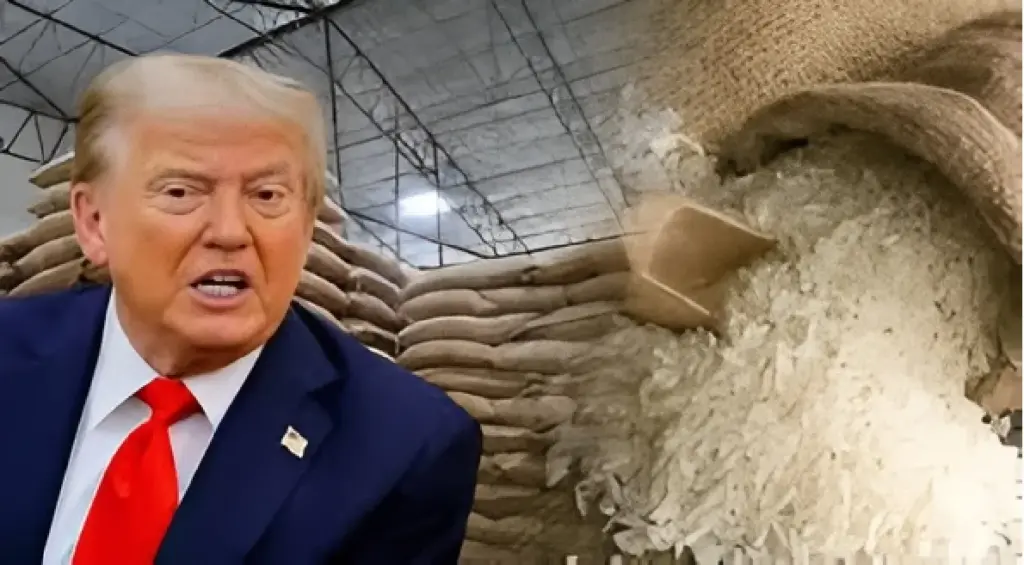 US Tariff Threat India Rice