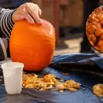 Pumpkin health benefits : लिवर और दिल के लिए वरदान है ‘बीजों वाली सब्जी’, सर्दियों में खाने के हैं खास फायदे