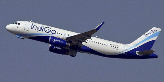 IndiGo Market Share