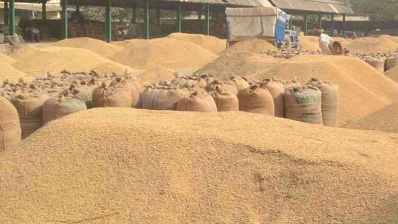 Paddy Procurement Irregularities