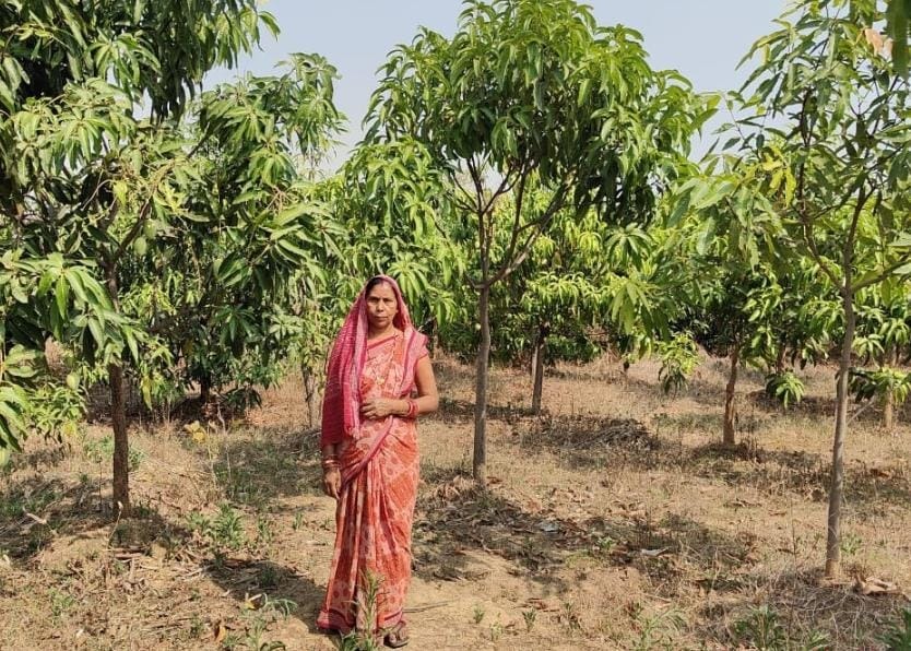 Mahatma Gandhi NREGA Plantation