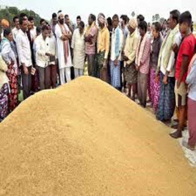 MSP Kharif Purchase Chhattisgarh