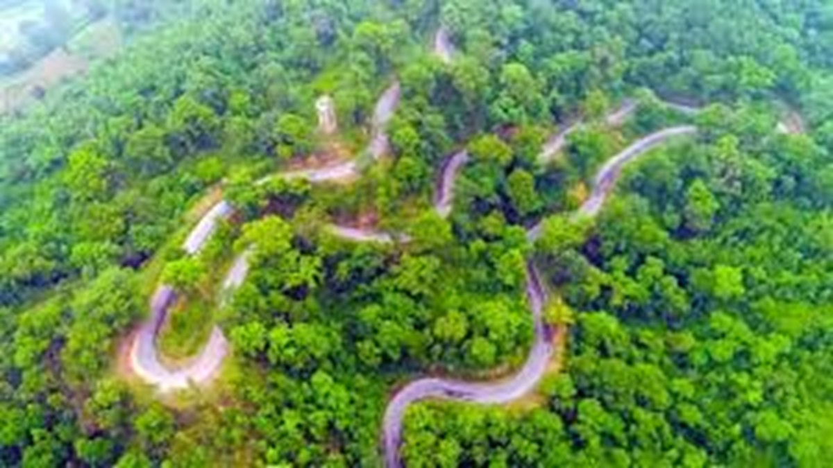 Mainpat Resort Project