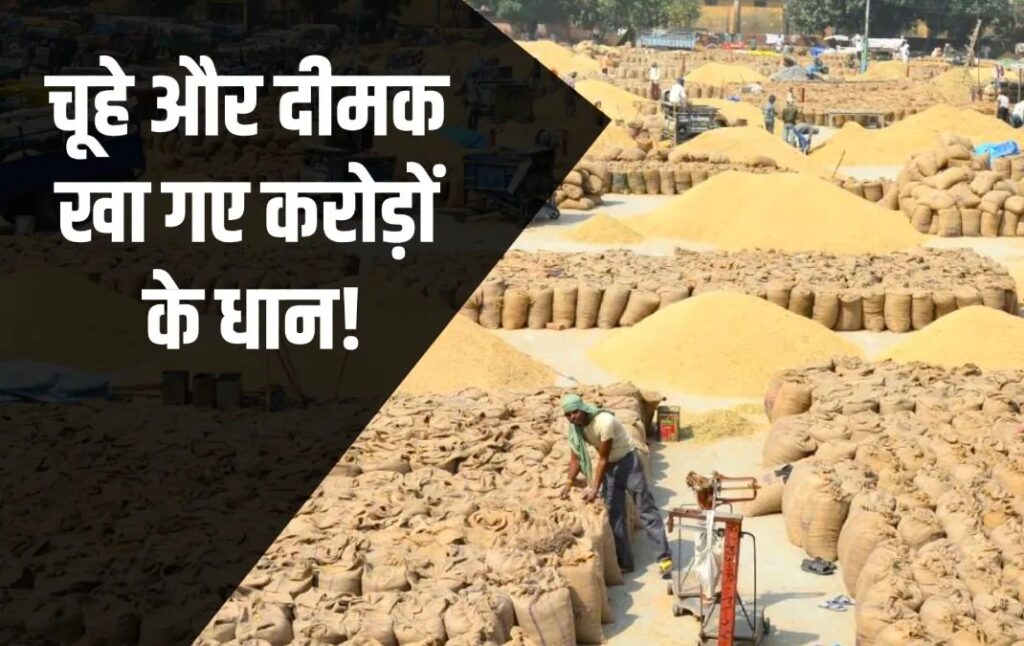 Paddy Storage Shortage