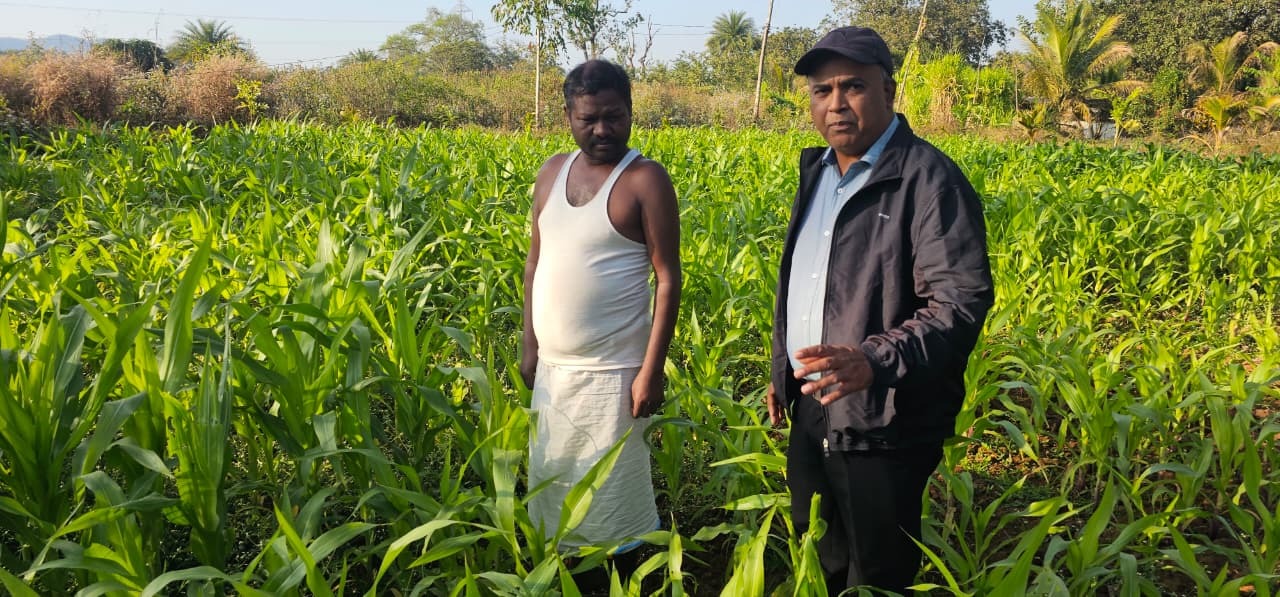 Dhan Dhaanya Yojana Organic Farming