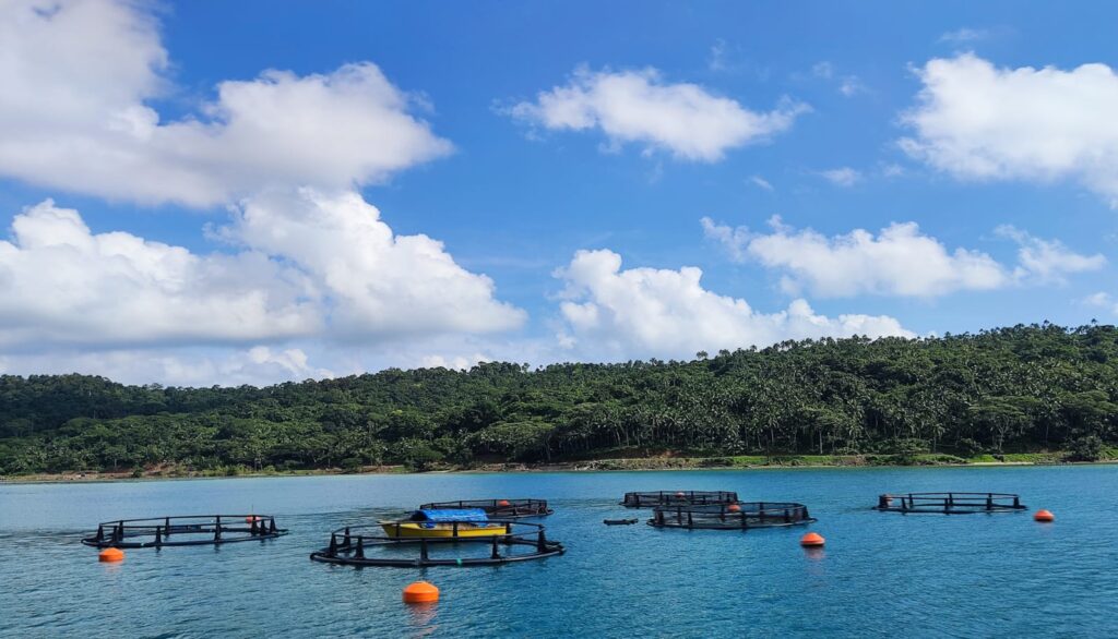 Andaman Bridge Connectivity
