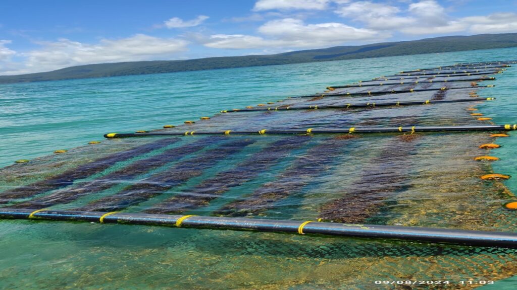 Andaman Bridge Connectivity