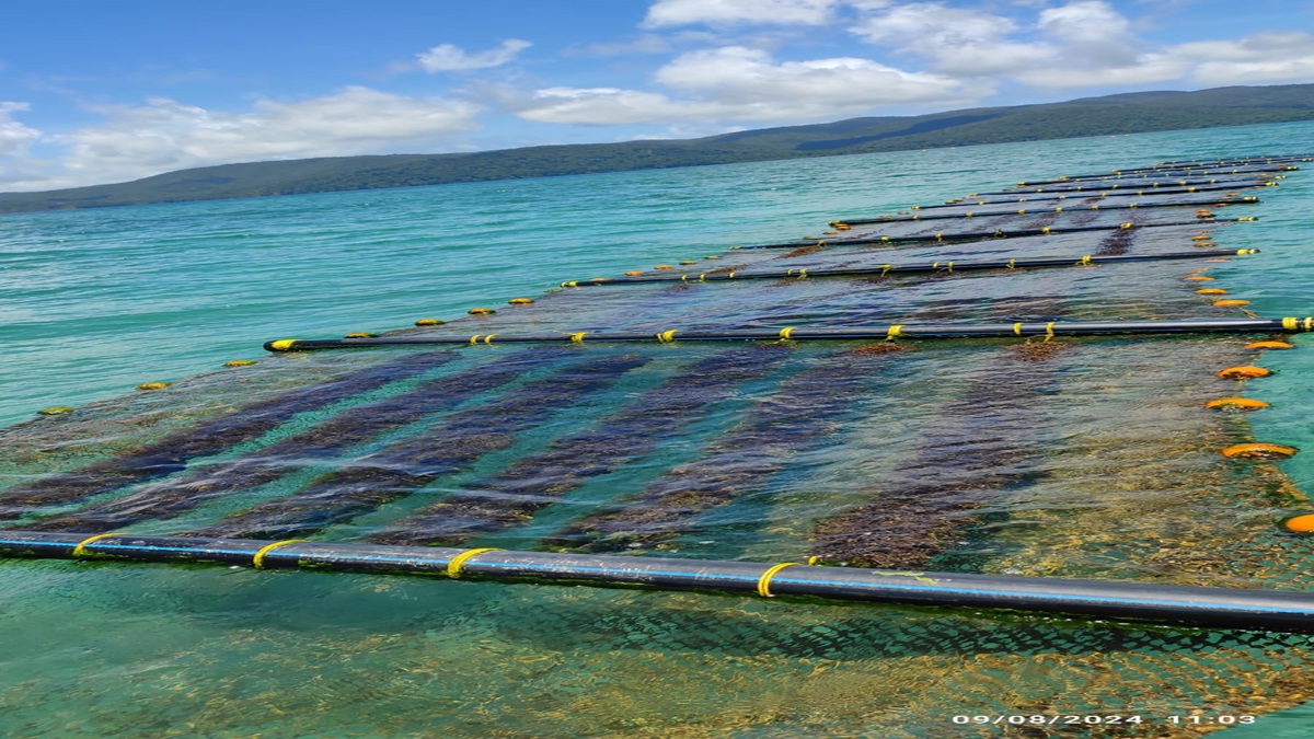 Andaman Bridge Connectivity