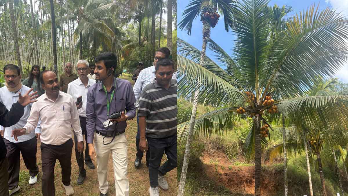 Coconut Research Centre in Andaman playing a vital role in improving livelihoods of farmers