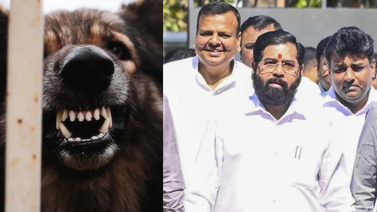 Eknath Shinde Assembly Statement