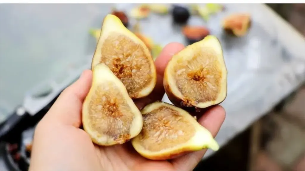 Figs Health Benefits