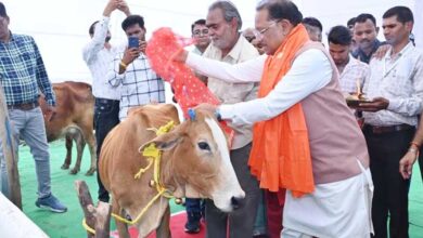 A commendable initiative towards cow protection