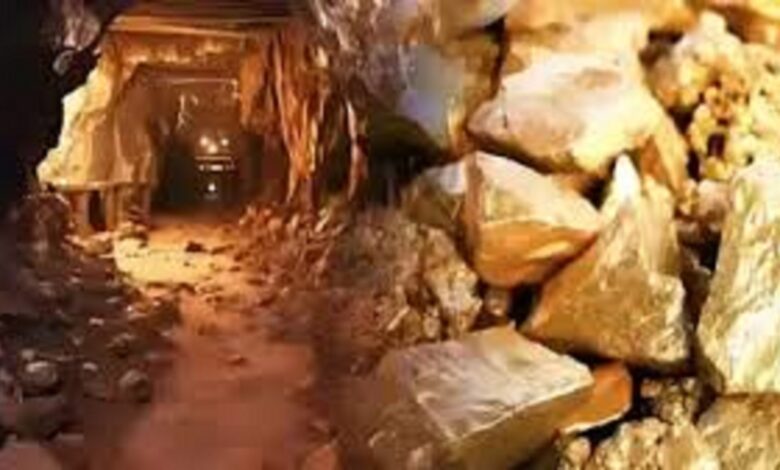 Chhattisgarh Gold Reserve