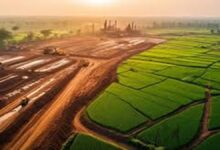 Godawari Ispat Land Deal CG