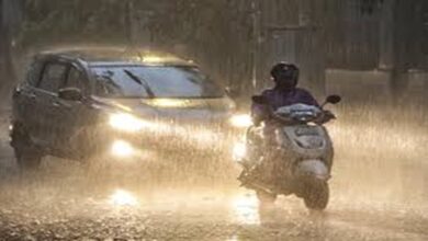 IMD Alert Chhattisgarh