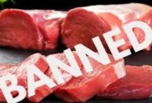 Mahavir Jayanti Raipur Ban