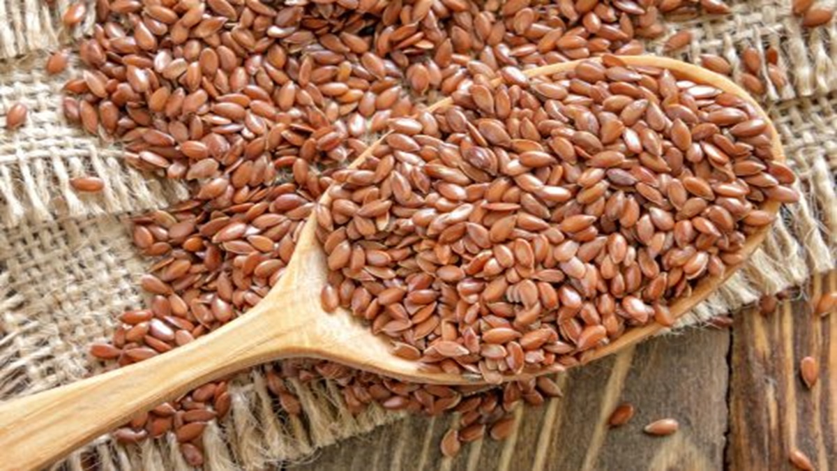Raigarh Flax Seed Corruption Issue