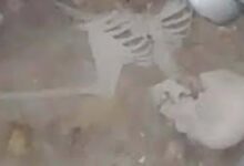 Raipur Skeleton Case