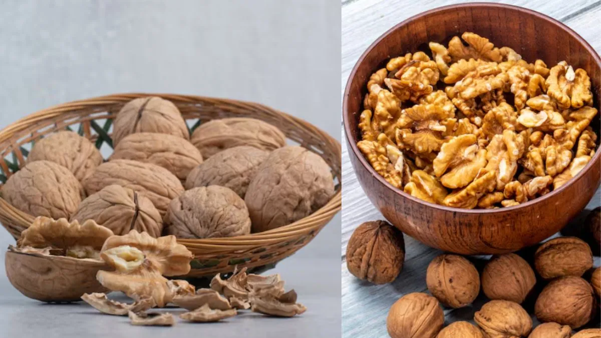 Kashmiri Walnut vs California Walnut