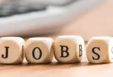 Government Job