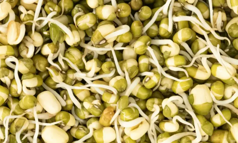 Healthy Breakfast India