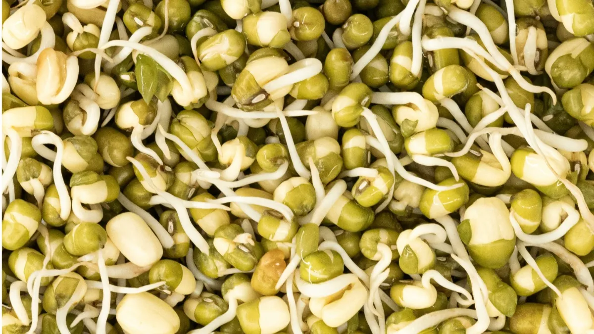 Healthy Breakfast India