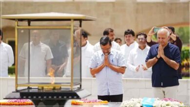 Arvind Kejriwal's Satyagraha