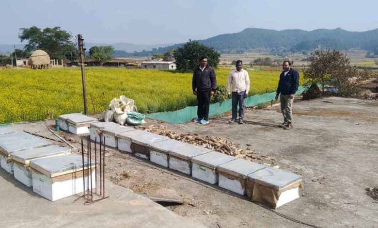 Beekeeping: A Superior Option for High Profits at Low Cost