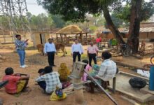 CG Grid Electricity in Forest Areas