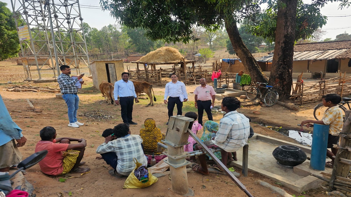 CG Grid Electricity in Forest Areas